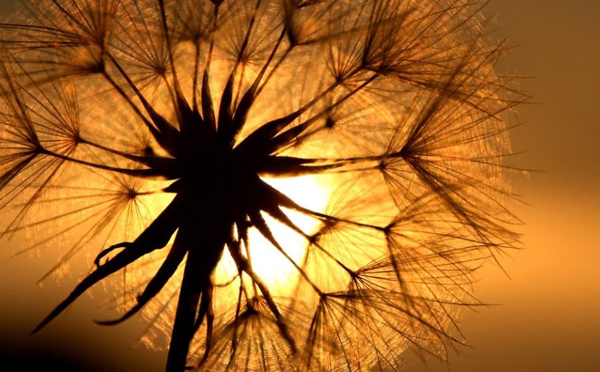 A Guide to Choosing the Right Funeral Home for Your Family Simple