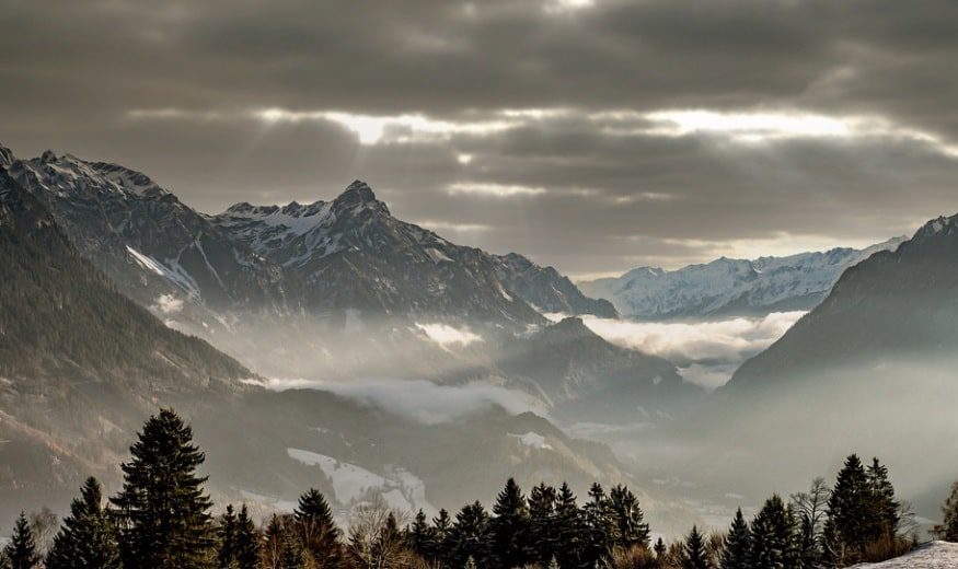 Eternal Tribute with Dignified Funeral Services Simple Alternatives